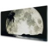 Nástenný panel Noc mesiac palma krajina 100x50 cm