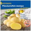 Sadbové zemiaky Monique - Solanum tuberosum - Kiepenkerl - 10 ks