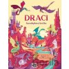 Velká samolepková knížka: Draci - Jiří Models