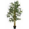 Bambus multi kmen 180 cm