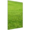 Vertikálny foto obraz sklenený Zelená tráva 50x100 cm