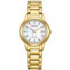Citizen Eco-Drive Classic FE1242-78D
