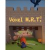 Voxel M.R.T.