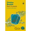 Salt Crystals - Cristina Bendek