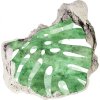 Foto fotografie diera na stenu Monstera 75x75 cm