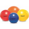 PhysioBall Standard Ledragomma 95 cm