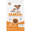 IAMS Advanced Nutrition Puppy Small / Medium Breed Chicken - 3 kg