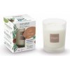 Esteban Paris Parfums NATURE – WILD CEDAR VONNÁ SVIEČKA 180 g