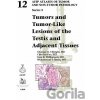 Tumors and Tumor-Like Lesions of the Testis and Adjacent Tissues - Thomas M. Ulbright, Chia-Sui Kao, Sean R. Williamson, Muhammad T. Idrees