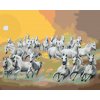 ZUTY Maľovanie podľa čísel - BIELE KONE V MRAKOCH A SLNKO (D. RUSTY RUST) Rámovanie: bez rámu a bez vypnutia plátna, Rozmer: 80x100 cm