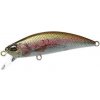 Wobler DUO Spearhead Ryuki 45S Rainbow Trout ND