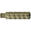 Karnasch 201285u029 | Jadrový vrták 29 mm, GOLD-DRILL LINE 80 upnutie WELDON 19