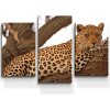 Sablio Obraz - 3-dílný Leopard 2 - 75x50 cm