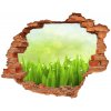 Foto fotografie diera na stenu Tráva 90x70 cm