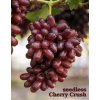Vinič Cherry Crush bezsemenný NEW