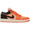 Nike Nízke tenisky Air Jordan 1 SE Wmns viacfarebny
