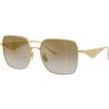 Dolce & Gabbana DG2310 12246E