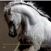 Arabian Horse of Egypt (Nasr Marei)(Brožovaná)
