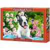 Puzzle pre 10-ROČNÉHO 500 dielikov Buldog ŠTENIATKA