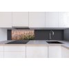 DIMEX | Dibond doska za kuchynskú linku | DBW-08040-136 Pšeničné pole| 80 x 40 cm + Dibond obkladová doska Dimex do kuchyne Pšeničné polev rozmere 80 x 40 cm