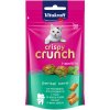 Vitakraft Cat Crispy Crunch Dental 60 g