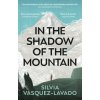 In The Shadow of the Mountain