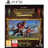 Harry Potter: Quidditch Champions (Deluxe Edition)