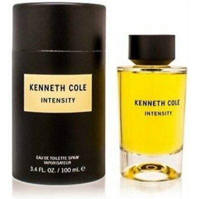 Kenneth Cole Intensity unisex toaletná voda 100 ml