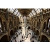 Dimex, fototapeta MS-5-0941 New Hintze hall 375 x 250 cm