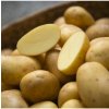 Sadbové zemiaky Belana - Solanum tuberosum - Kiepenkerl - 10 ks