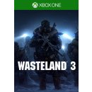 Hra na Xbox One Wasteland 3
