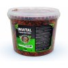 Invital Tropical Colour flakes 3 l