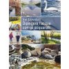 Dipingere l'acqua con gli acquarelli