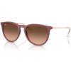 Ray-Ban Erika RB4171 6815A5