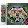 Norimpex Diamantové maľovanie 7D Labrador 30x30cm