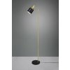 TRIO Reality R41041080 ADAM stojaca lampa V1530mm 1xE27 zlatá, čierna