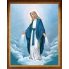 Obraz v ráme: Panna Mária Zázračnej medaily (45x35) - W056
