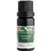 Nobilis Tilia éterický olej Pomaranč, sladký 10 ml