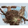 Diamondi Diamantové maľovanie - SOVY A HNIEZDO (D. RUSTY RUST) Rámovanie: bez rámu a bez vypnutia plátna, Rozmer: 40x50 cm
