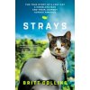 Strays: The True Story of a Lost Cat, a Homeless Man, and Their Journey Across America (Britt Collins,Jeffrey Moussaieff Masson)(Brožovaná)