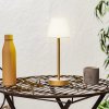 Newgarden Lola Slim LED lampa batéria, mosadz - LUMLLS030BRWLNW