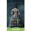 E-kniha Milenec Adely Ostrolúckej - Mariana Čengel Solčanská