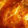Herbarium Projekt AMBER (Jantár / Succinum), spagyric tincture - 10ml