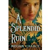 A Splendid Ruin - Megan Chance