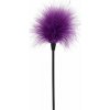 Sexy Feather Tickler Purple