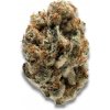 Growers Choice - KO Kush 5 ks - Semená neobsahujú THC