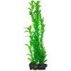 Tetra - Hygrophila 30cm-rastlina plast.L