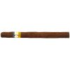 Cohiba Panatelas C/P 5´s (5)