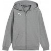 Puma Teamgoal Casuals Hooded Jacket sivá