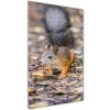 Vertikálny foto obraz akrylový Veverička v lese 50x100 cm